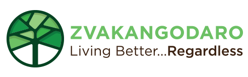 ZVAKANGODARO | Social Inclusion For The African BME Parents